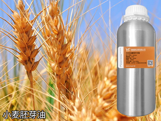 小麦胚芽油植物滋润保湿按摩美容护肤日化原料批发厂家原料基础油