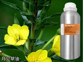 金昌月见草油植物基础油原料冷榨芳疗按摩油厂家直供