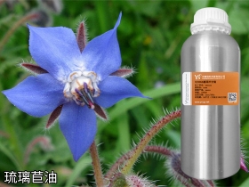 鸡西琉璃苣油基础油琉璃苣籽油可用软胶囊原料植物香料油