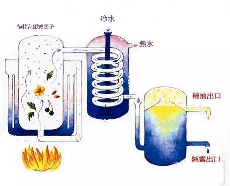 水蒸馏纯露YS精油纯露花水批发