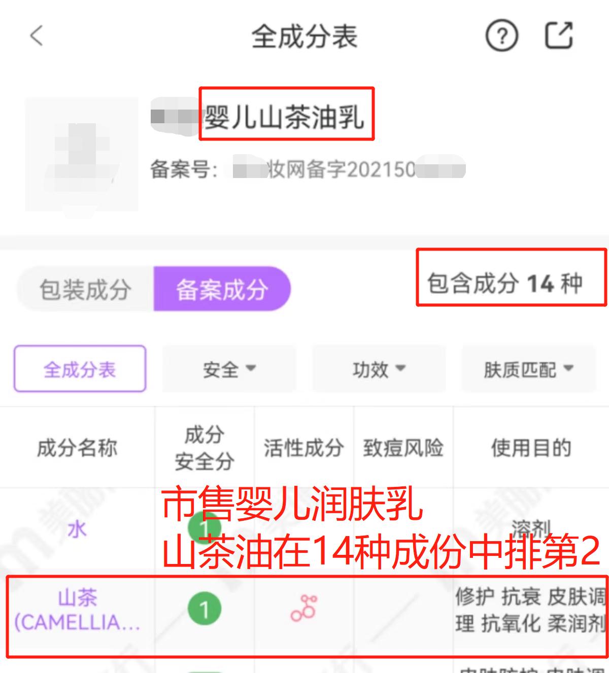 山茶油产品YS精油源头供应商